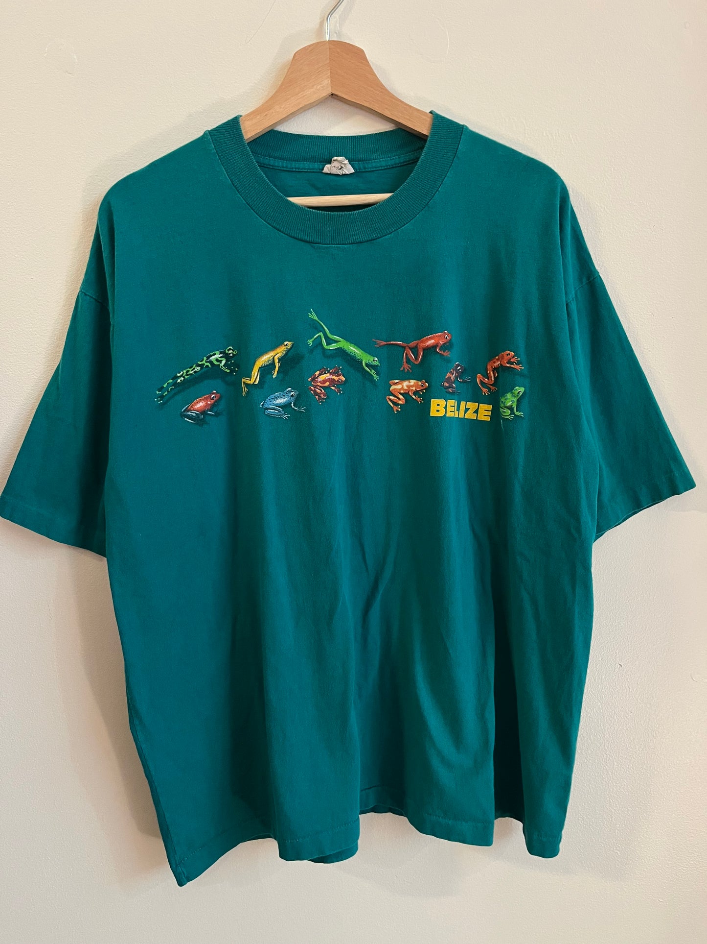 90s Belize Frogs Teal Tee (XL)