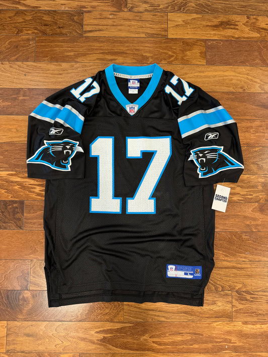 00s Carolina Panthers Jake Delhomme Jersey (L)