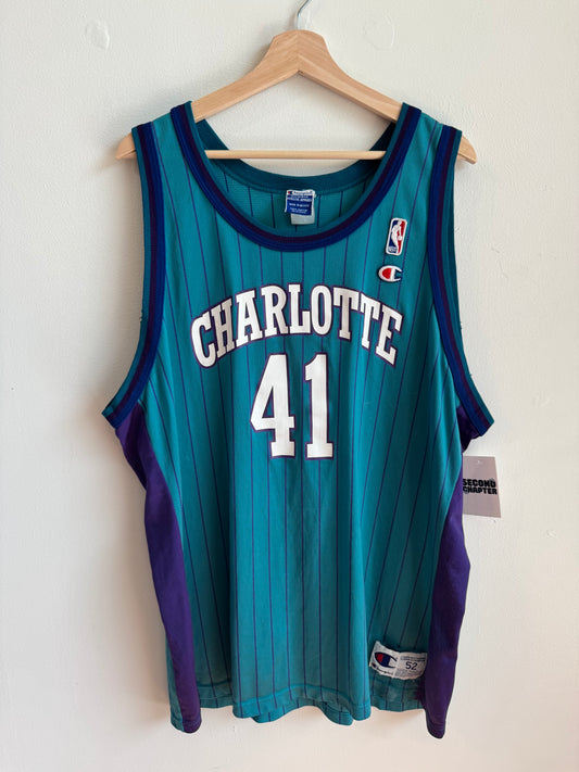 90s Charlotte Hornets Glen Rice Pinstripe NBA Champion Jersey (XL)