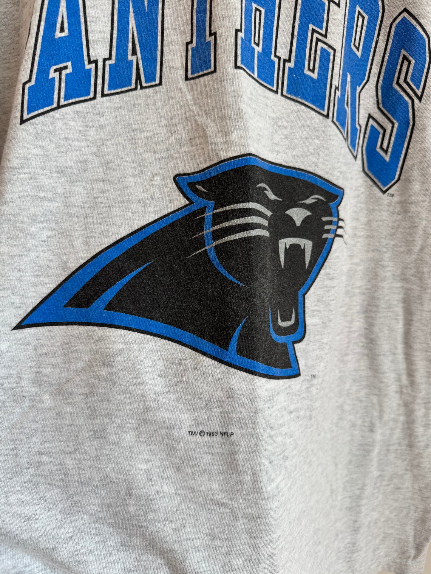 1993 Carolina Panthers Starter Spell Out Tee (L)