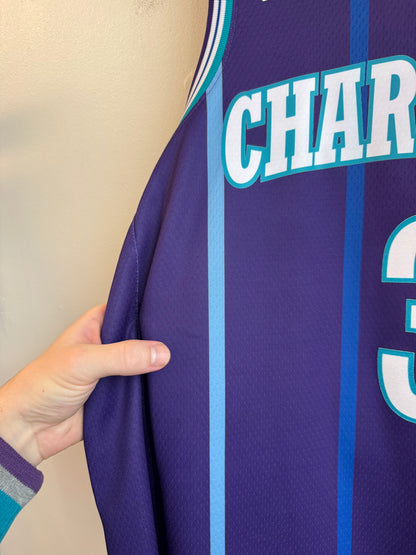 2019 Charlotte Hornets Terry Rozier III Jordan Swingman Purple Jersey (L)