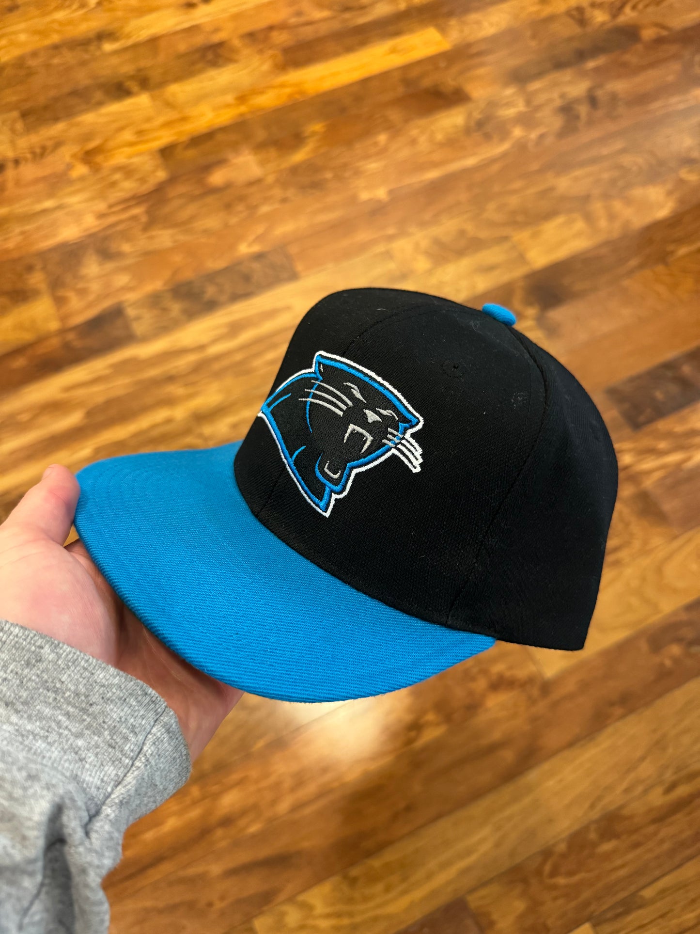 Carolina Panthers Mitchell & Ness Logo Two-Toned Hat (OS)