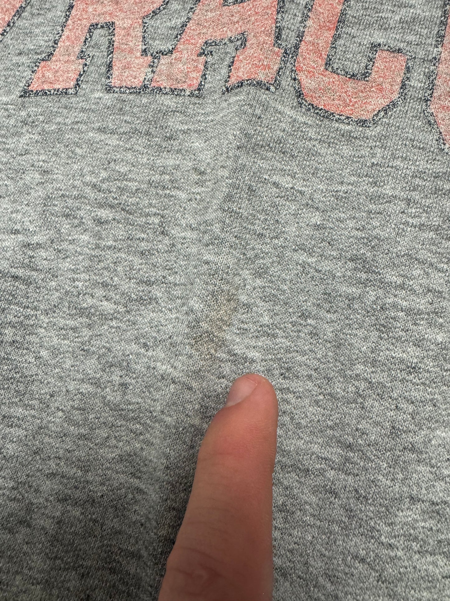 00s Syracuse University Champion Vintage Crewneck (L)