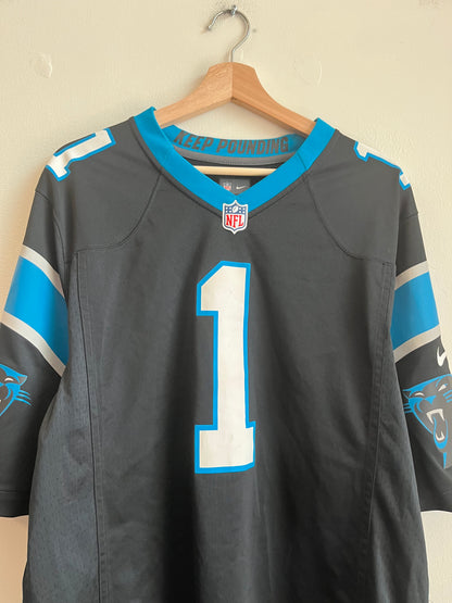 2015 Carolina Panthers Cam Newton Nike Home Jersey (L)