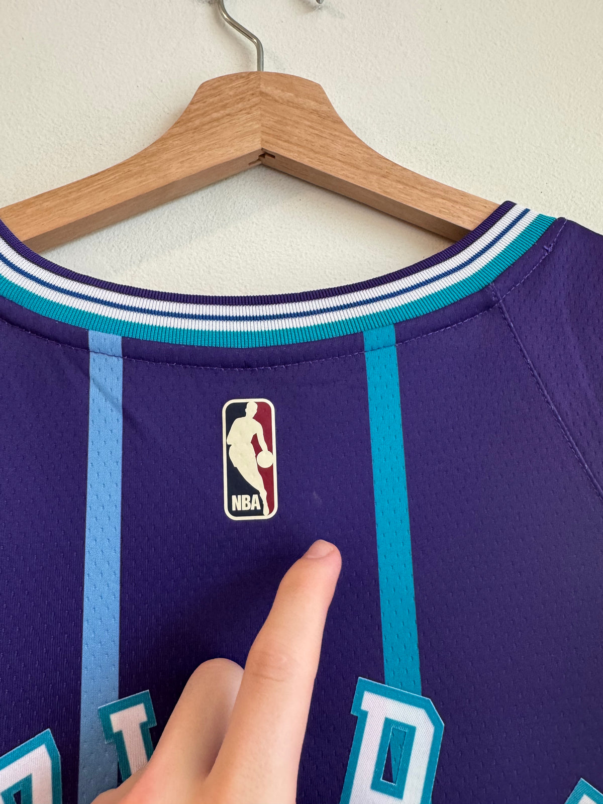 2019 Charlotte Hornets Terry Rozier III Jordan Swingman Purple Jersey (L)