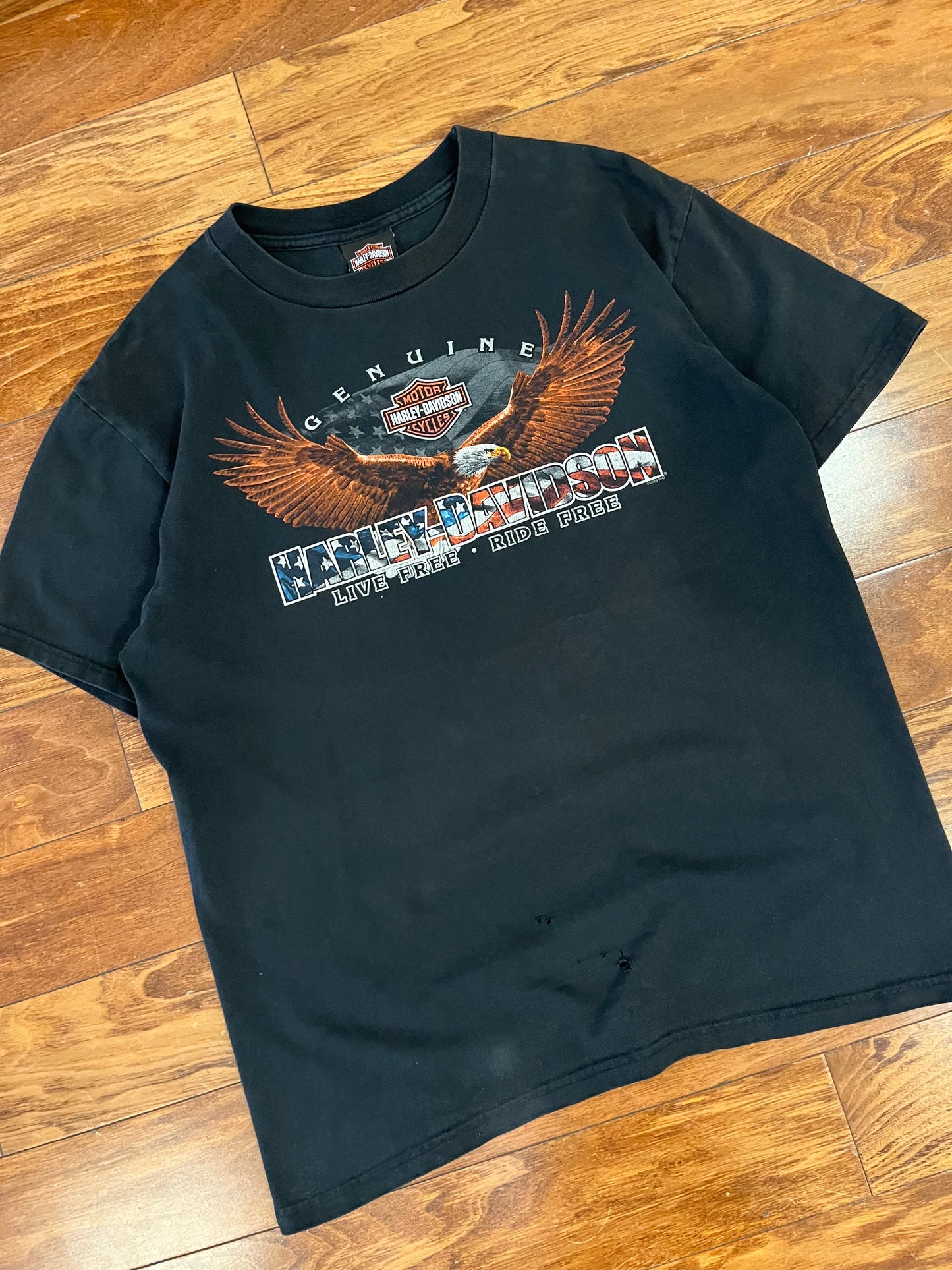 2010 Harley Davidson Chicago Tee (L)