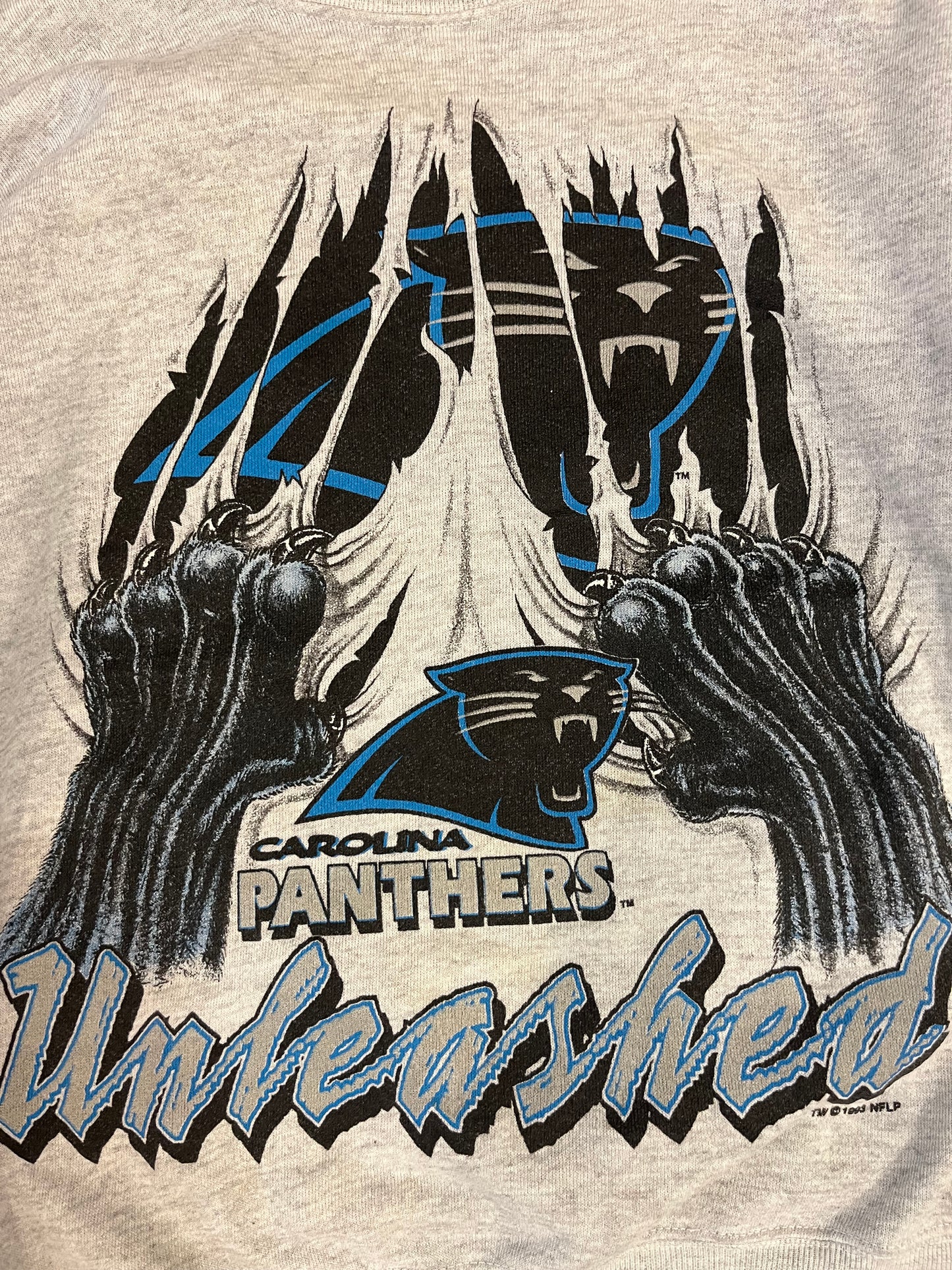 1993 Carolina Panthers Big Cat Scratch Crewneck (M)