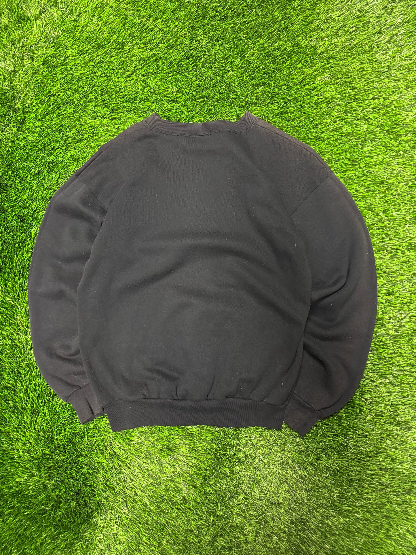 1993 Carolina Panthers Spell Out Spectator Vintage Crewneck (M)