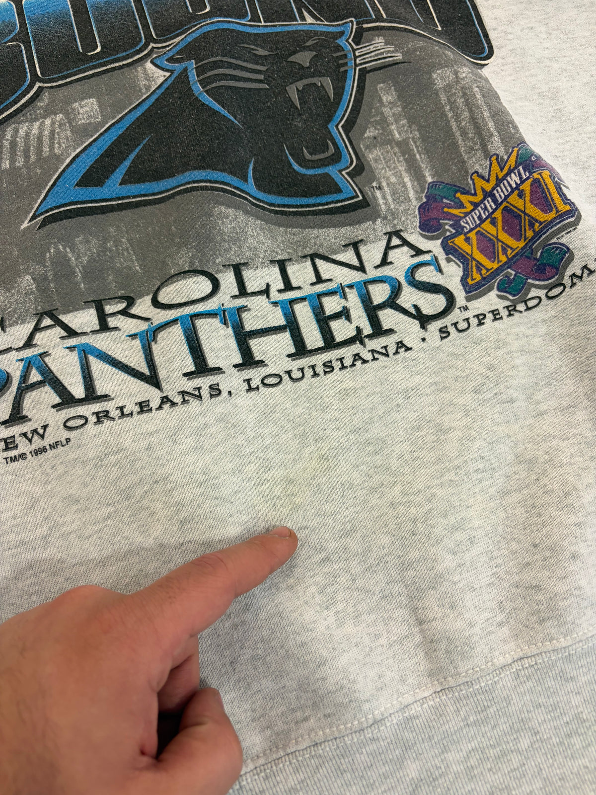 1996 Carolina Panthers Bourbon St Bound Grey Crewneck (L)