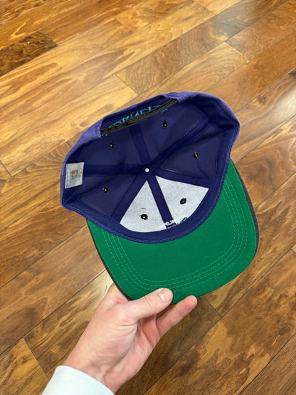 90s Charlotte Hornets Logo Two Toned Hat (OS)
