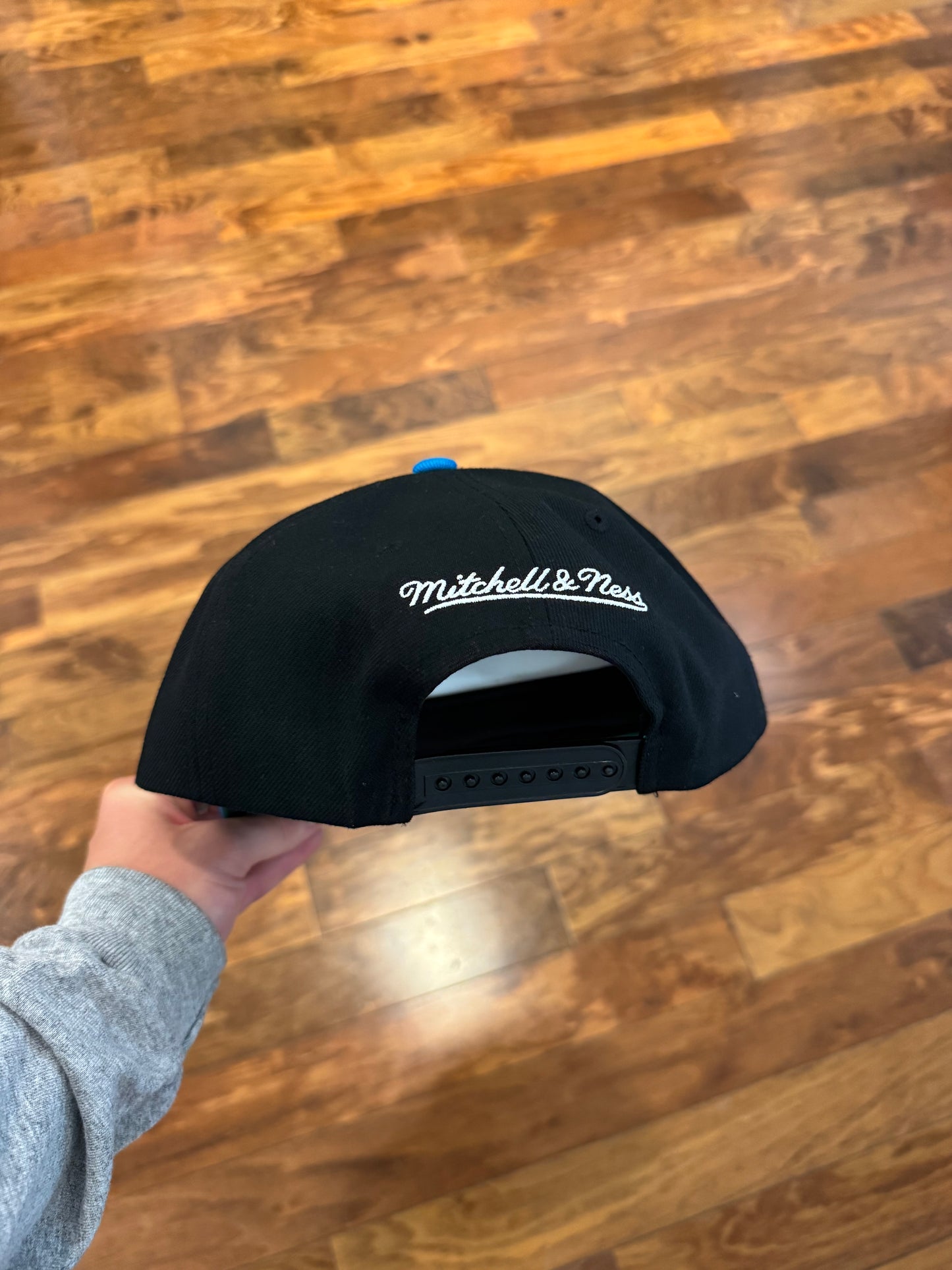 Carolina Panthers Mitchell & Ness Logo Two-Toned Hat (OS)