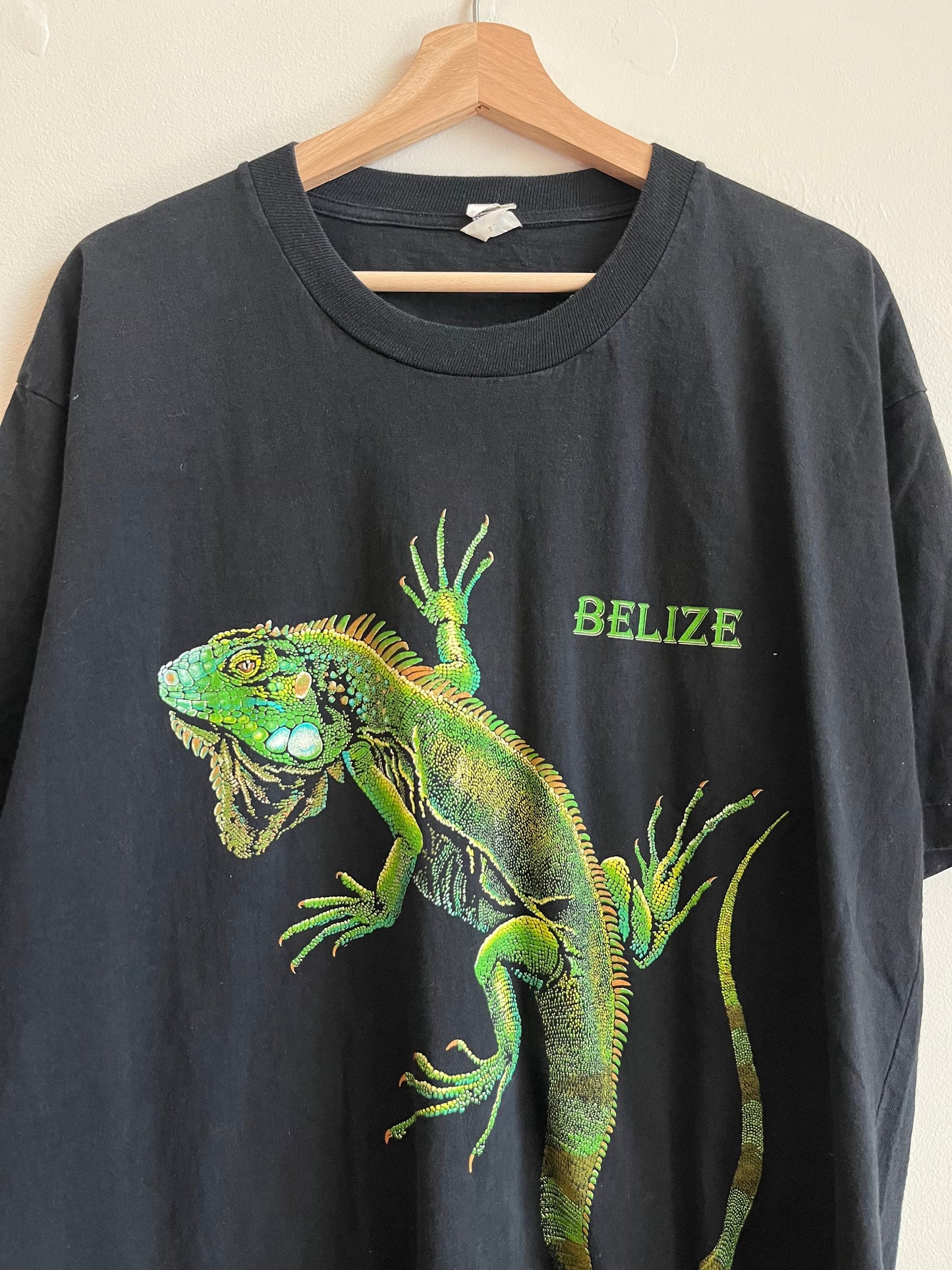 1990s Belize Destination Iguana Lizard Animal Tee (XXL)