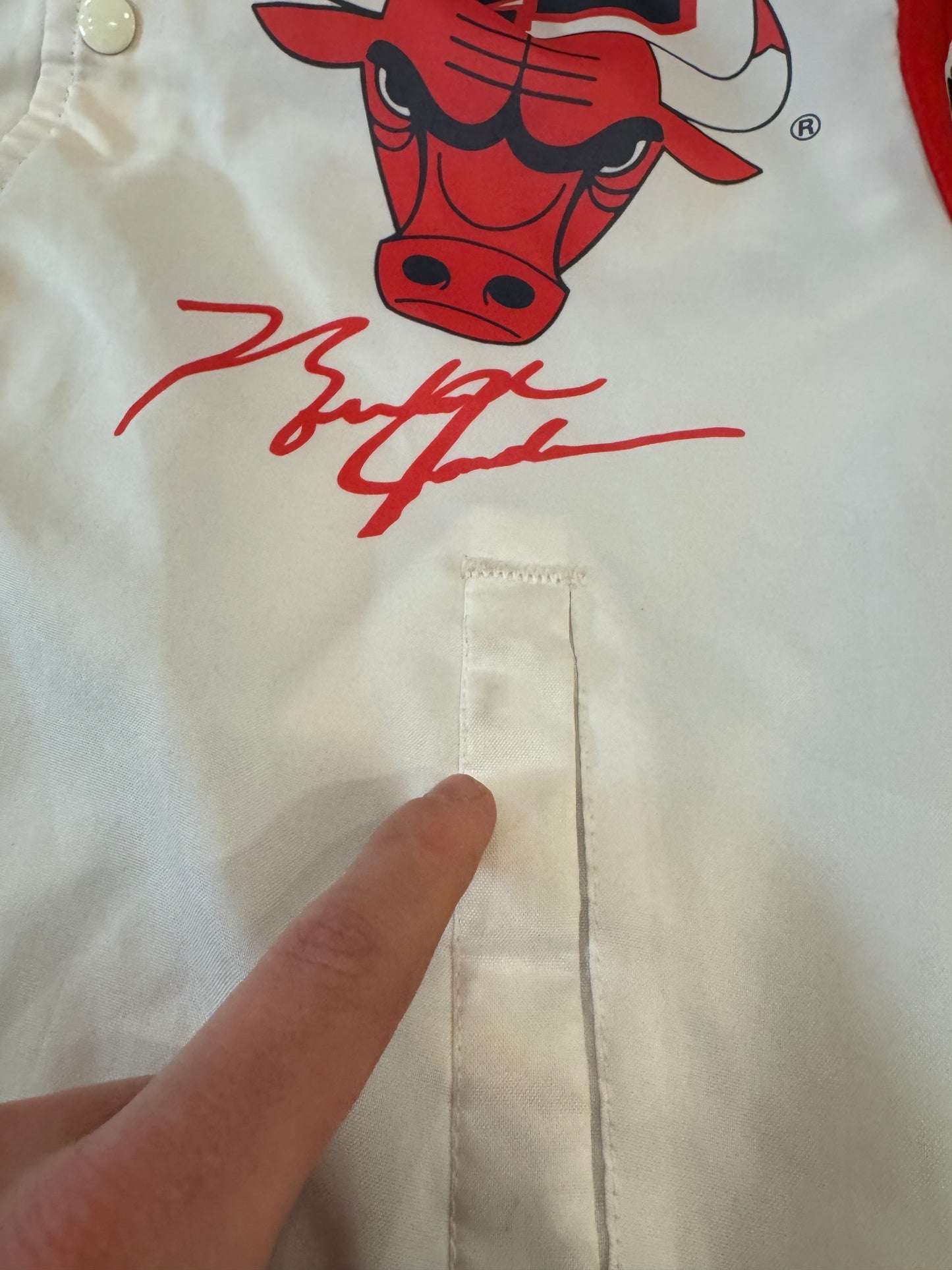 90s Chicago Bulls Michael Jordan Fanimation Jacket (S)