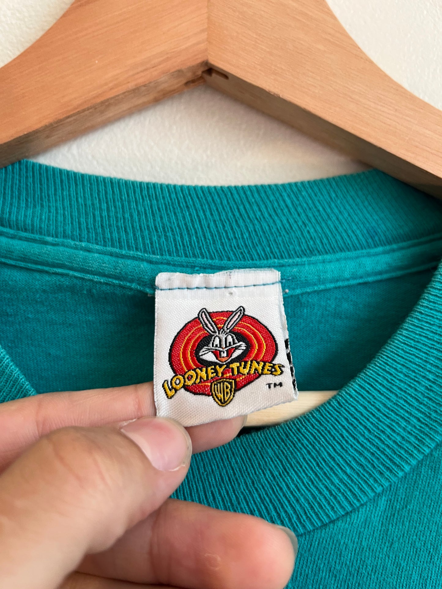 1998 Taz "Don't Even Go There!" Looney Tunes Faded Teal Tee (L)
