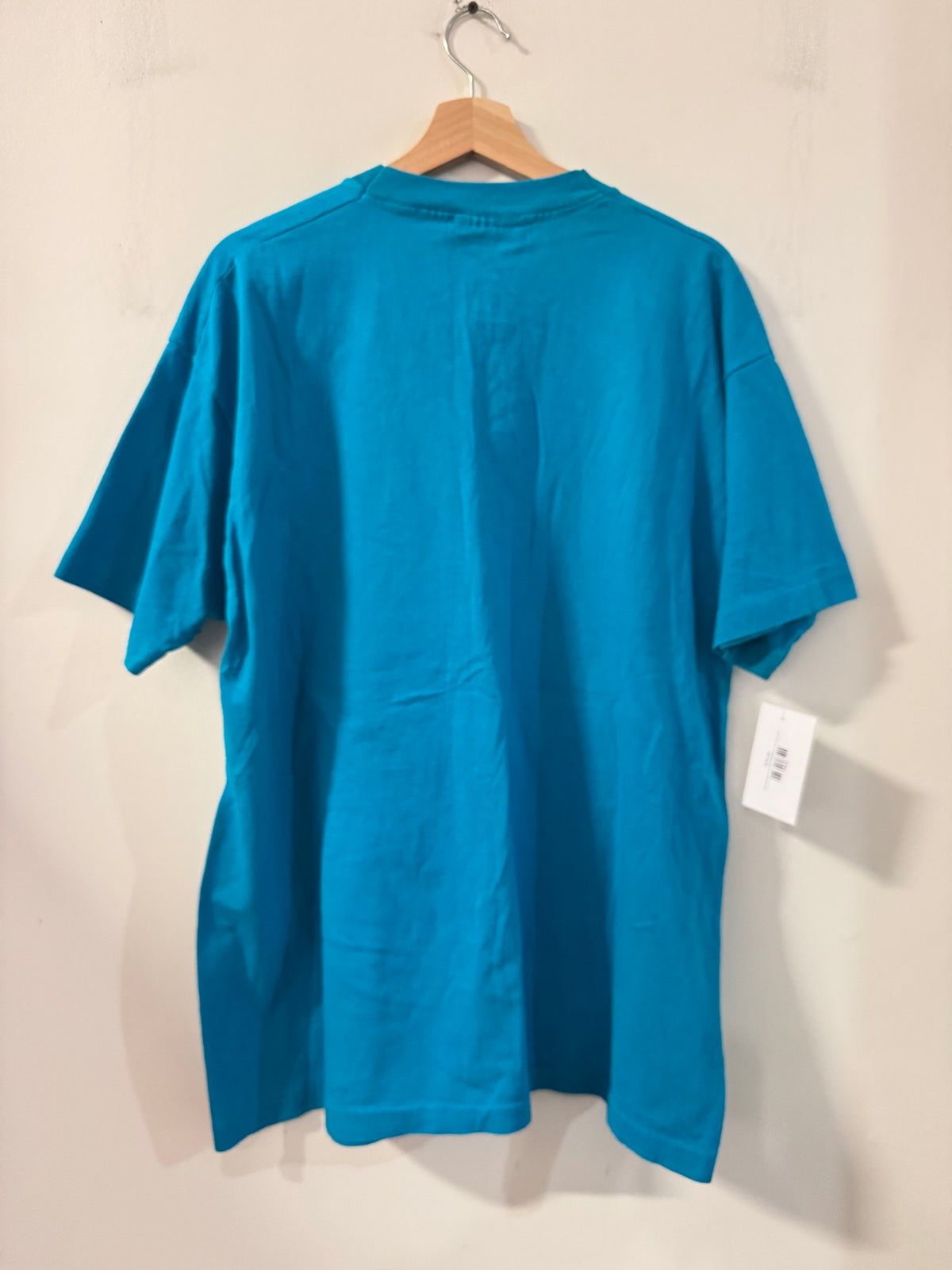 90s Charlotte Hornets Teal Artex Tee (XL)