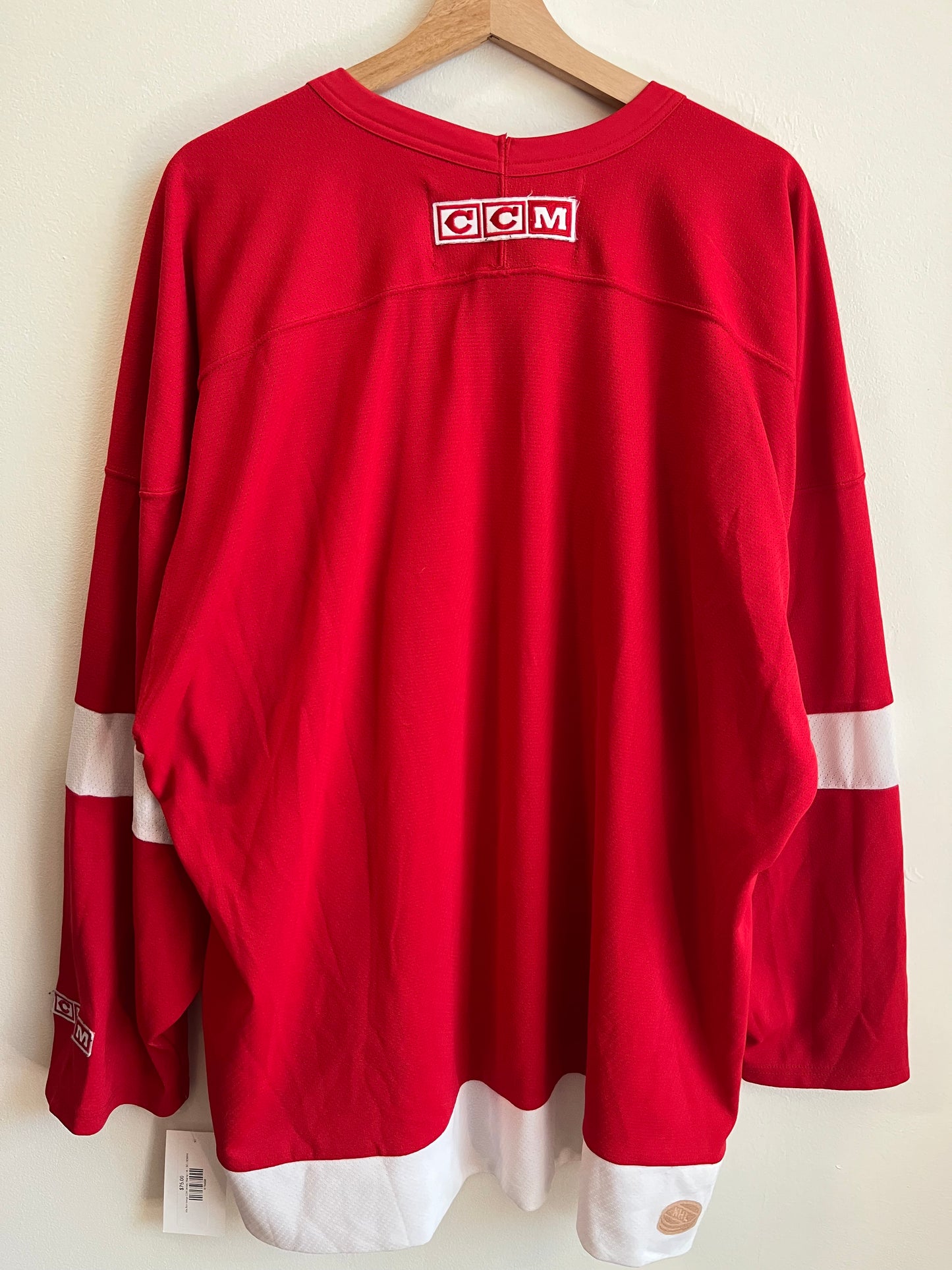 90s Detroit Red Wings CCM Hockey Jersey (XL)