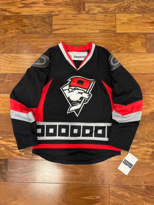 00s Charlotte Checkers Vintage Youth Hockey Jersey (Youth S/M)