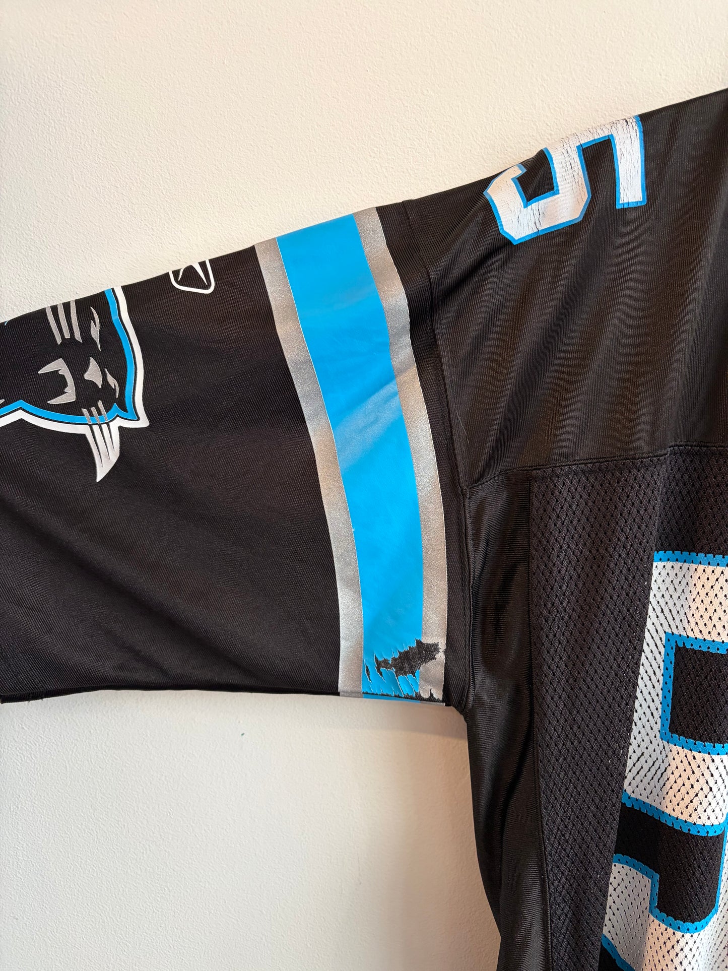 00s Carolina Panthers Charles Johnson Reebok Home Jersey (M)