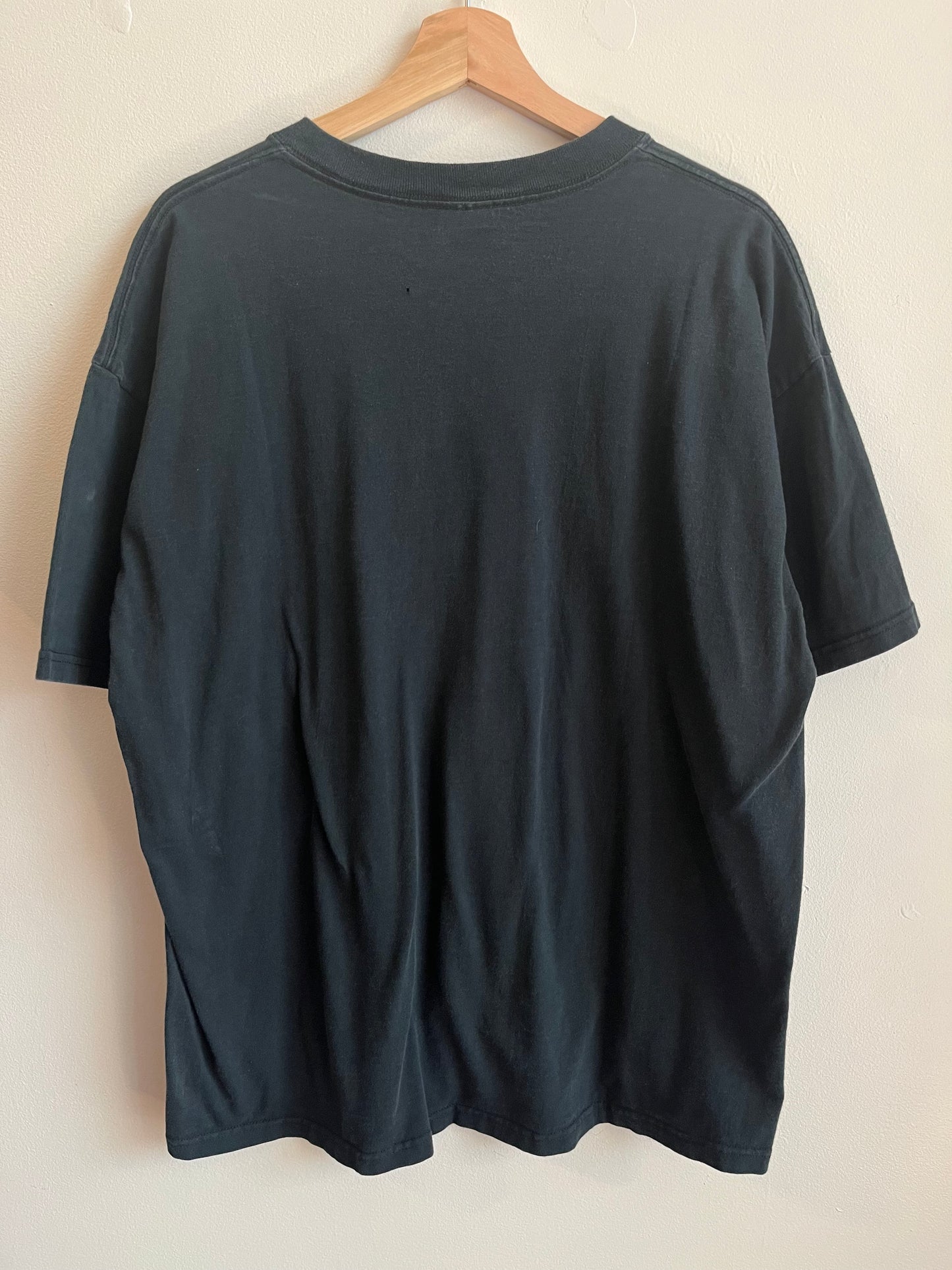 00s Carolina Panthers Faded NFC South Tee (XL)