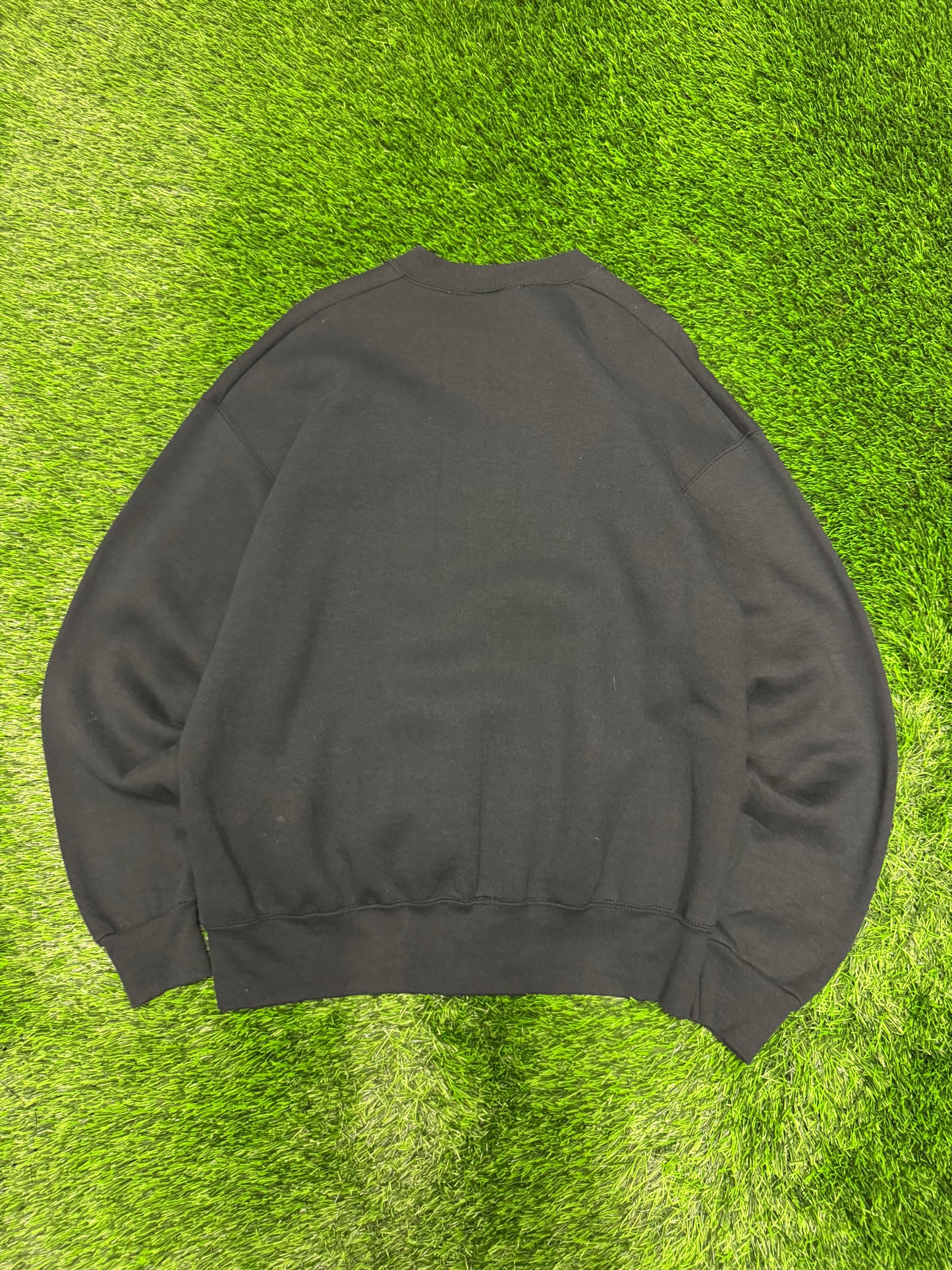 1996 Carolina Panther Panthers Western Division Champs Vintage NFL Crewneck (XL)