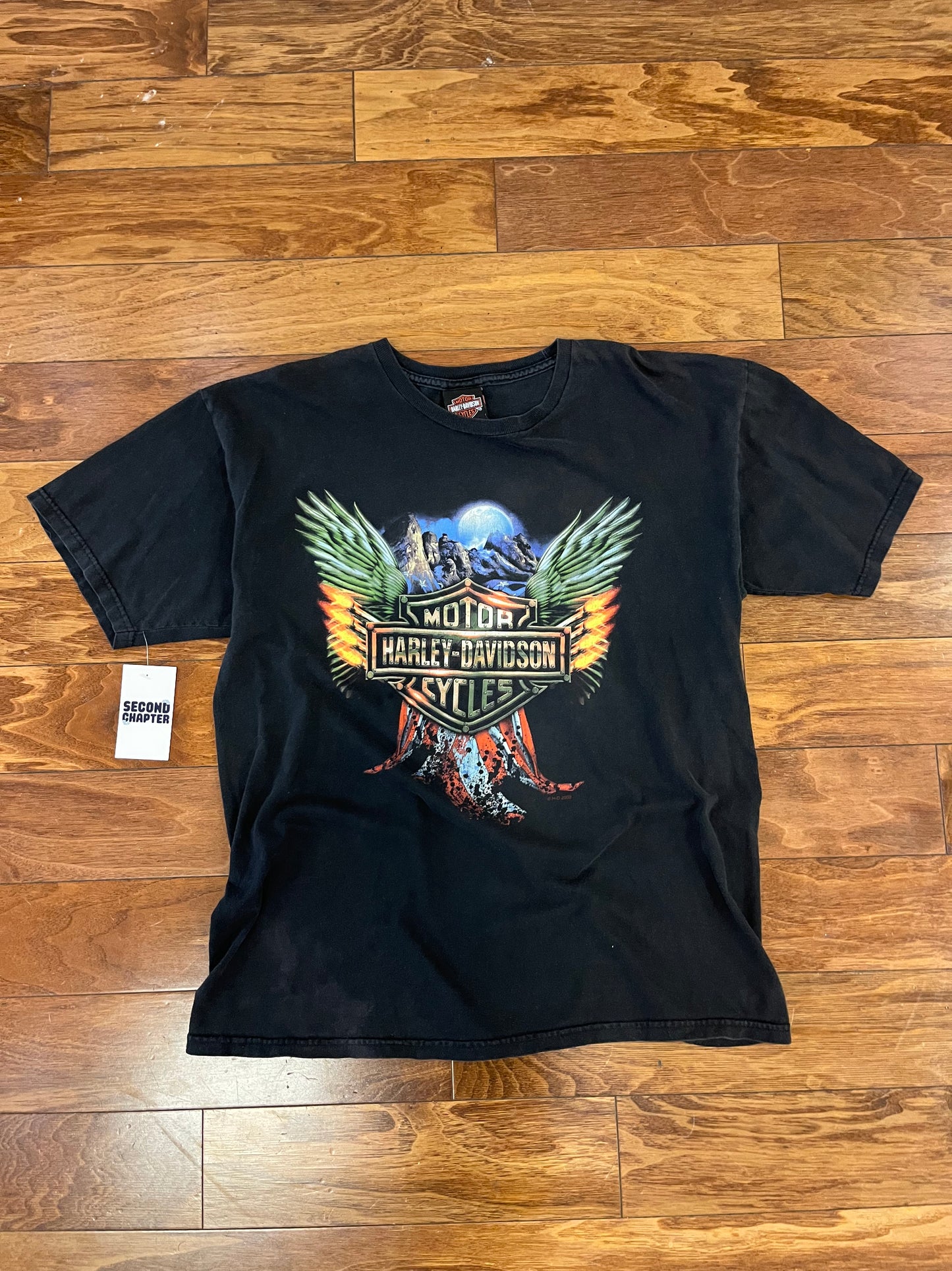2008 Harley Davidson St Louis Gateway Tee (L)
