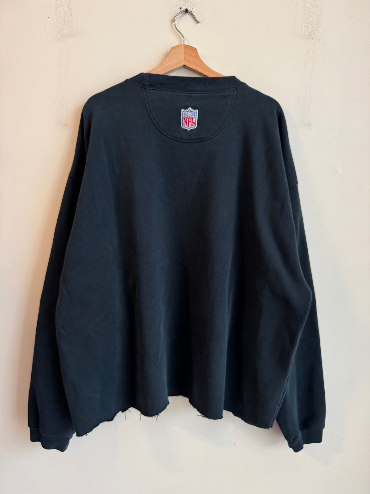 00s Carolina Panthers Cropped Nike Center Swoosh Crewneck (XXL)