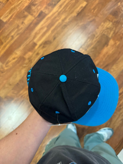 90s Carolina Panthers Team NFL Drew Pearson Hat (Youth Size)