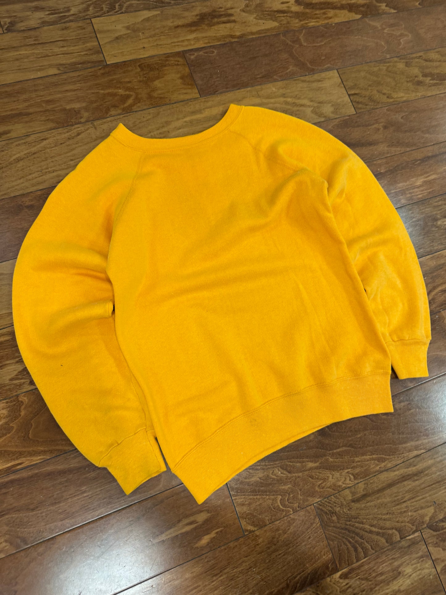 70s University Of Iowa Champion Vintage Crewneck (S)