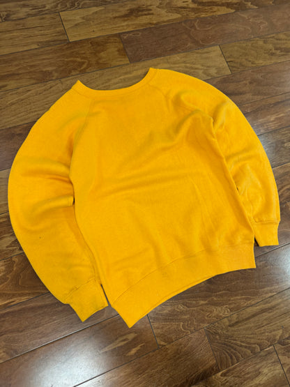70s University Of Iowa Champion Vintage Crewneck (S)