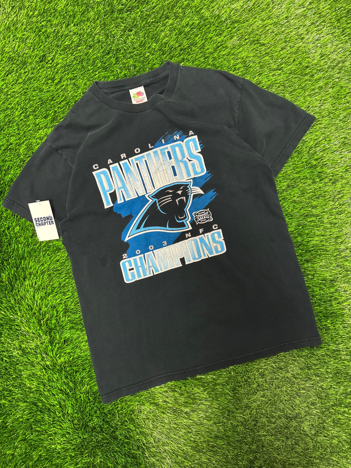 2003 Carolina Panthers NFC Champions Graphic Vintage Tee (L)