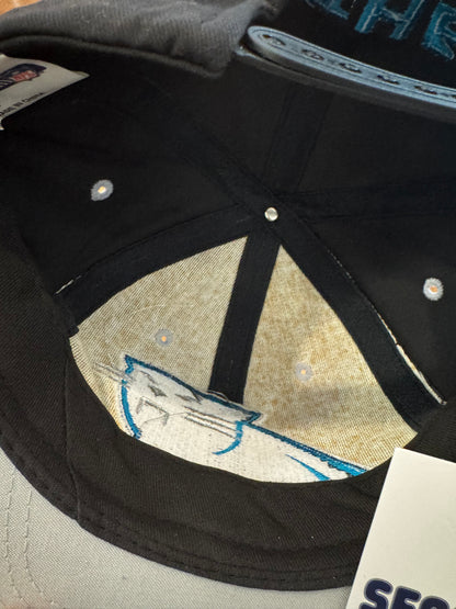 90s Carolina Panthers Big Logo Black/Grey Hat (OS)