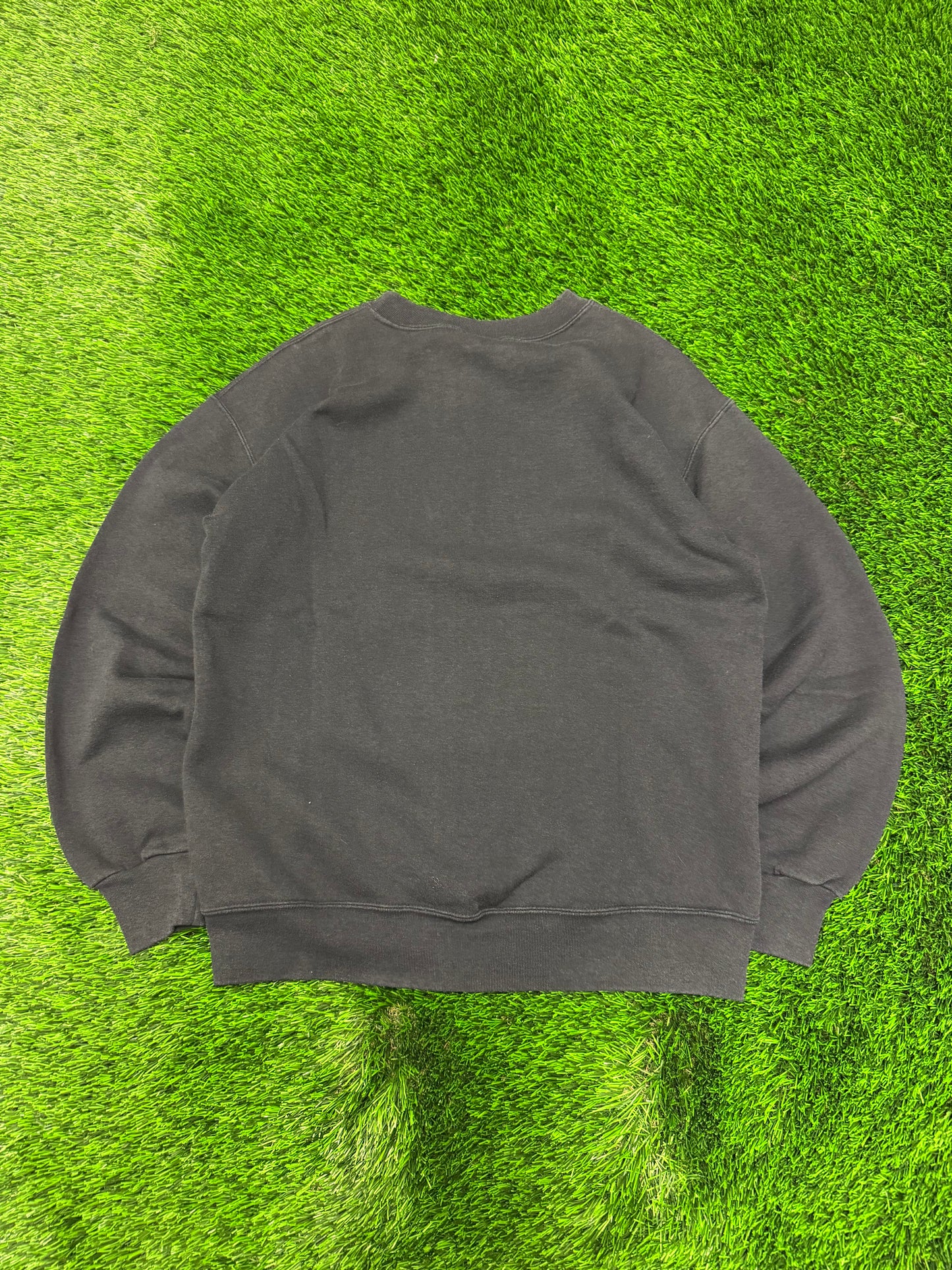 1993 Carolina Panthers Big Face Nutmeg Crewneck (M)