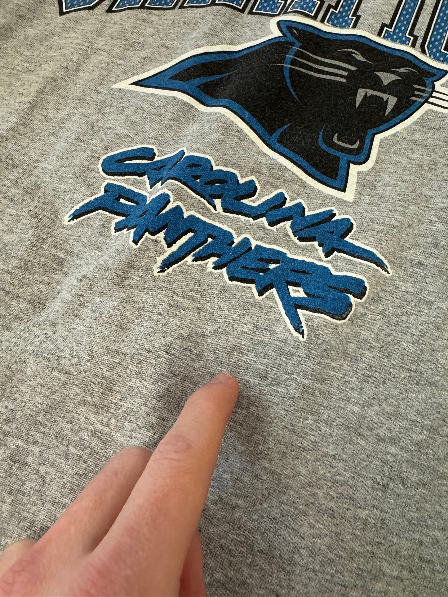2003 Carolina Panthers Gray Long Sleeve Shirt (L)