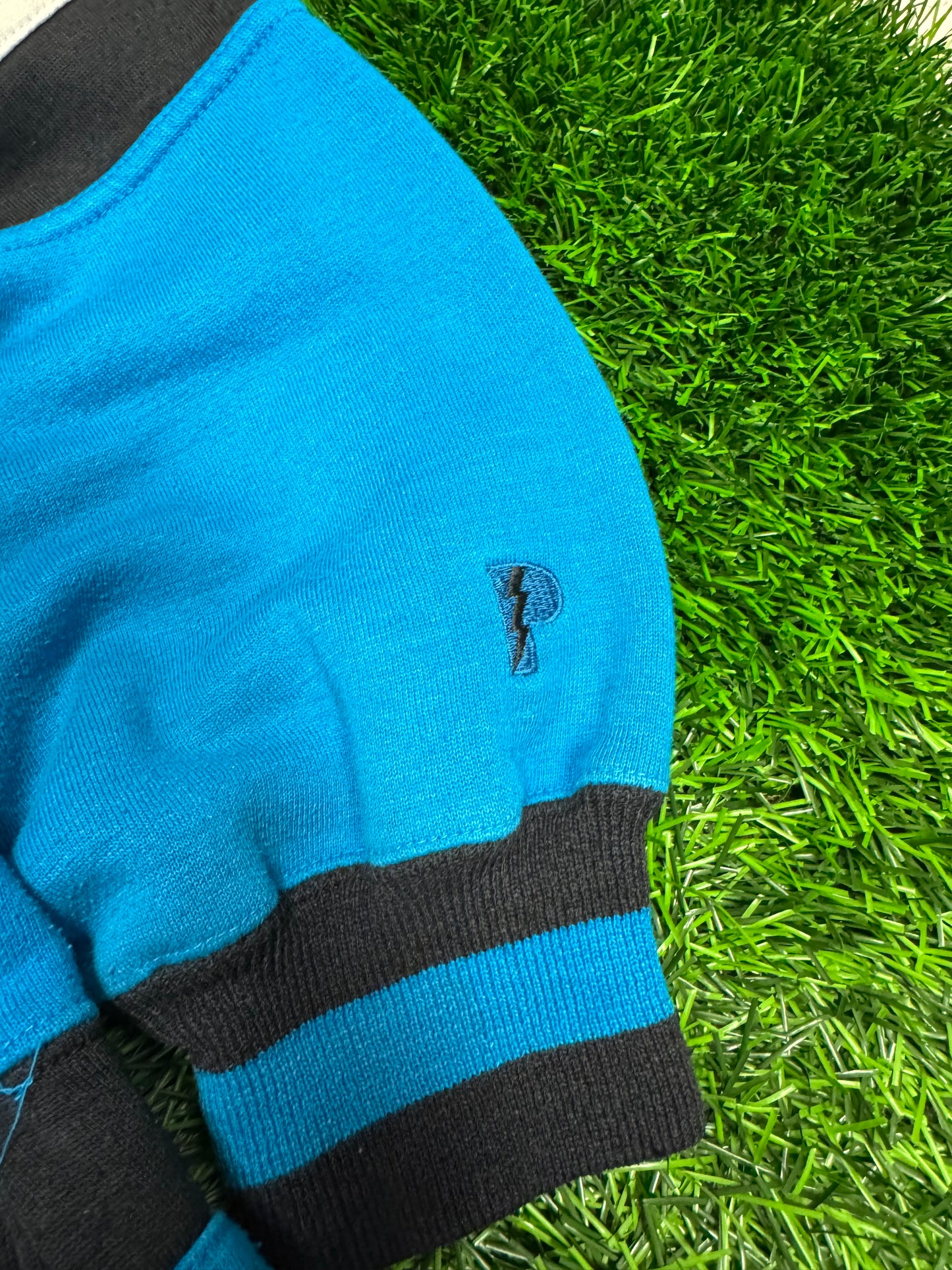 90s Panthers Pro Player Embroidered Boxy NFL Crewneck (XL)