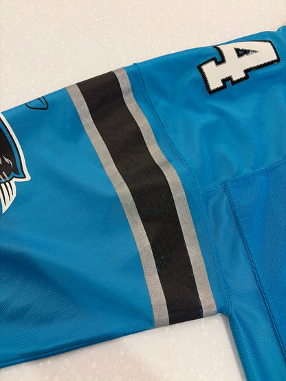 00s Carolina Panthers DeAngelo Williams Blue Stitched Flawed Jersey (XL)