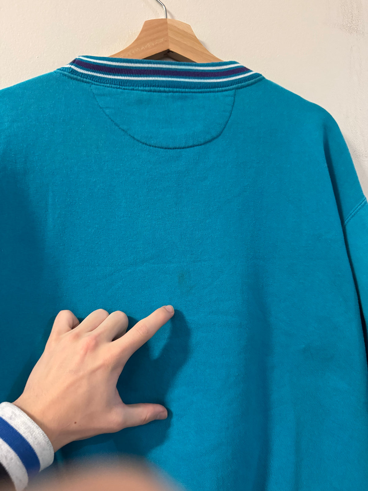 90s Charlotte Hornets Logo Athletic Teal Crewneck (L)