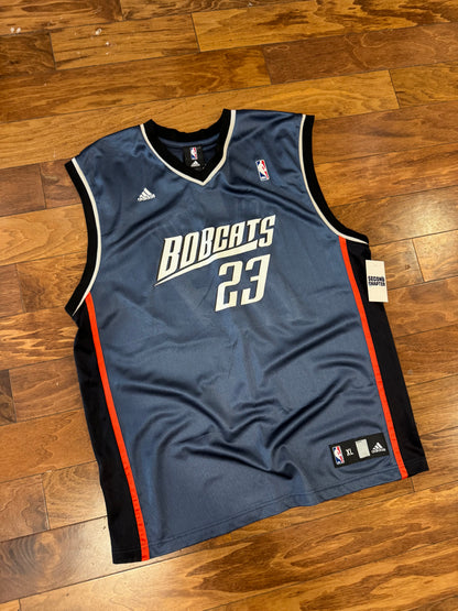 00s Charlotte Bobcats Jason Richardson Vintage Jersey (XL)