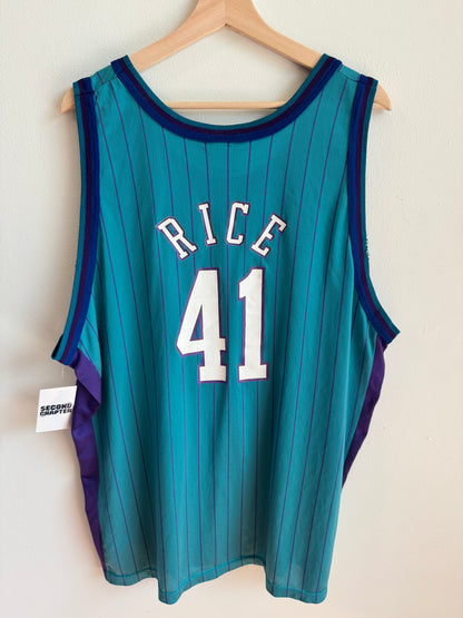 90s Charlotte Hornets Glen Rice Pinstripe NBA Champion Jersey (XL)