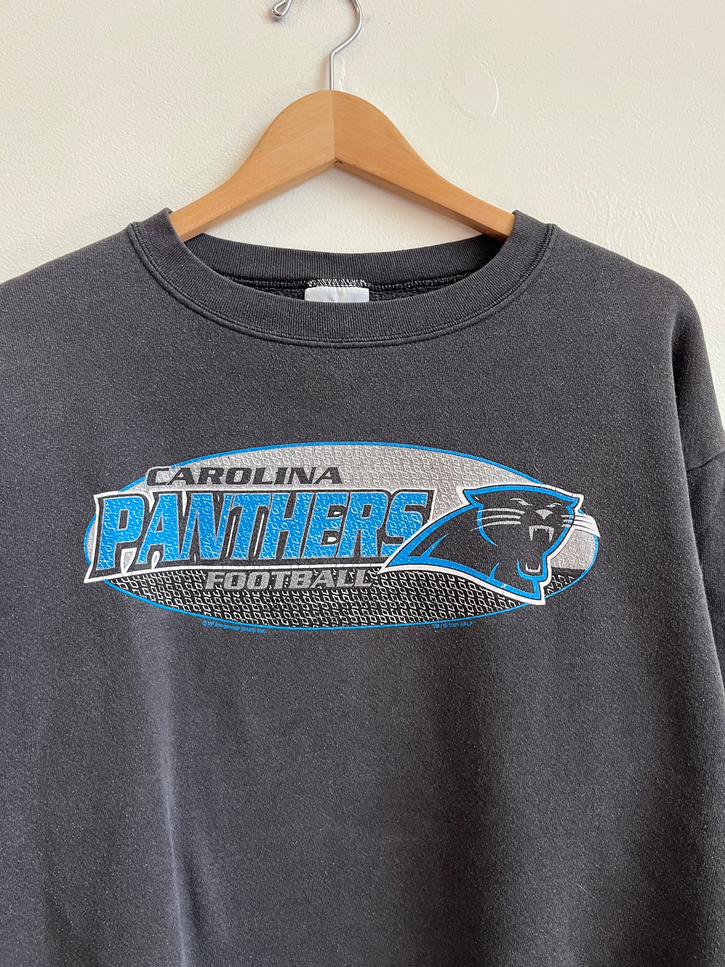 2001 Carolina Panthers CSA Faded Spell Out Crewneck (L)