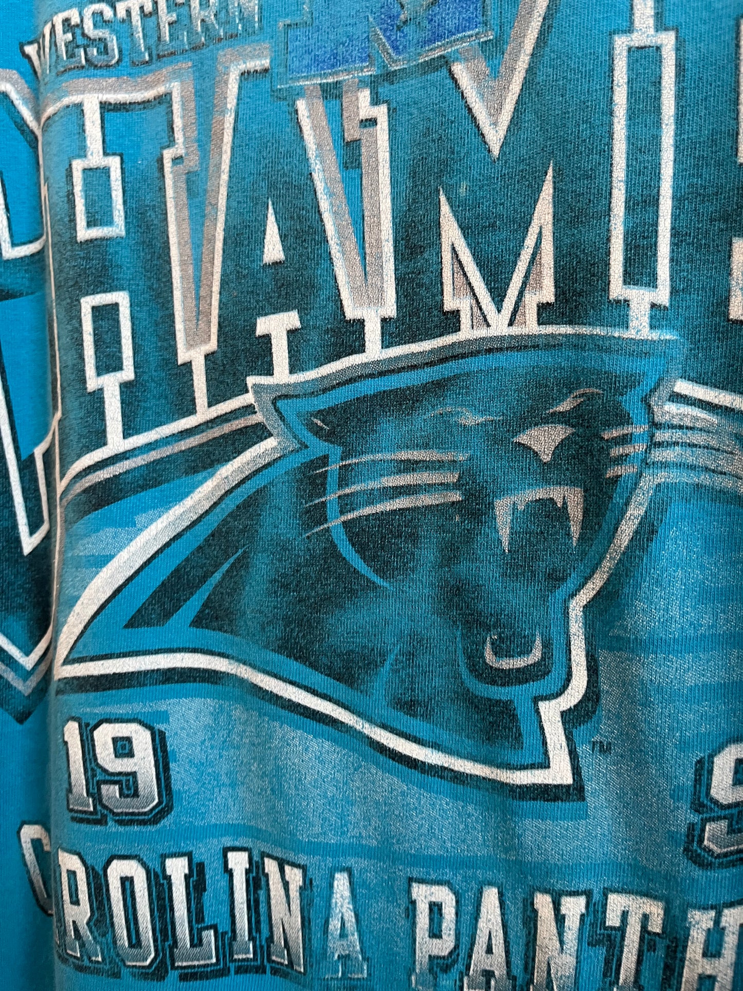 1996 Carolina Panthers Blue West Division Stained Tee (L)