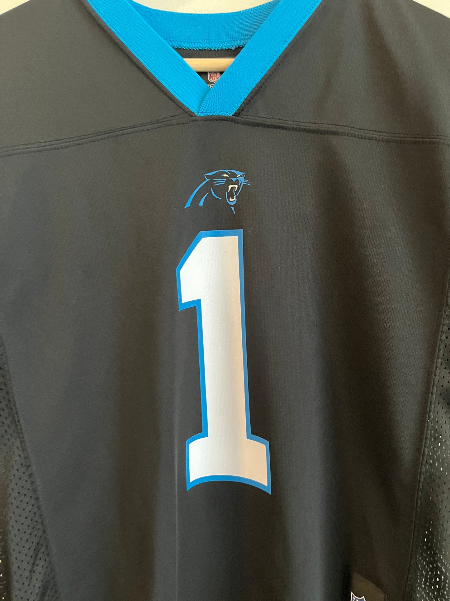 2010s Carolina Panthers Cam Newton NFL Players Jersey (Youth L)