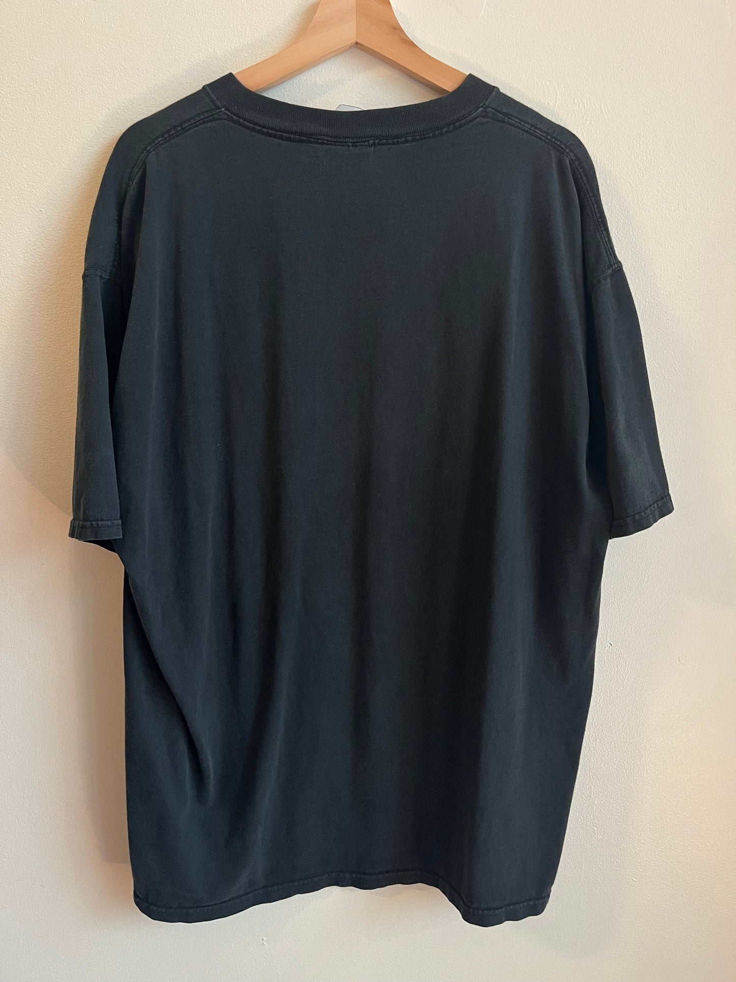 00s Carolina Panthers NFL South Division Faded Black Tee (XXL)