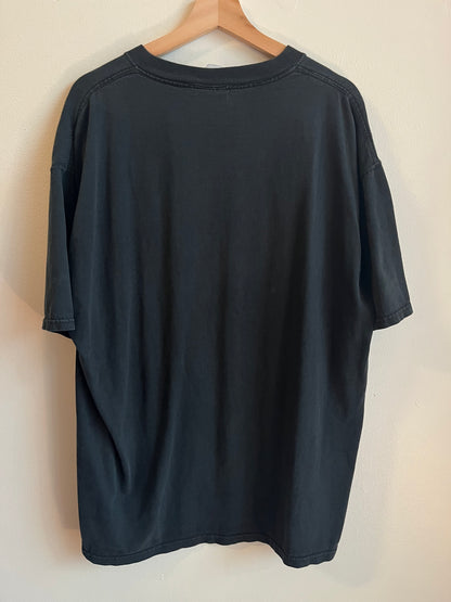 00s Carolina Panthers NFL South Division Faded Black Tee (XXL)