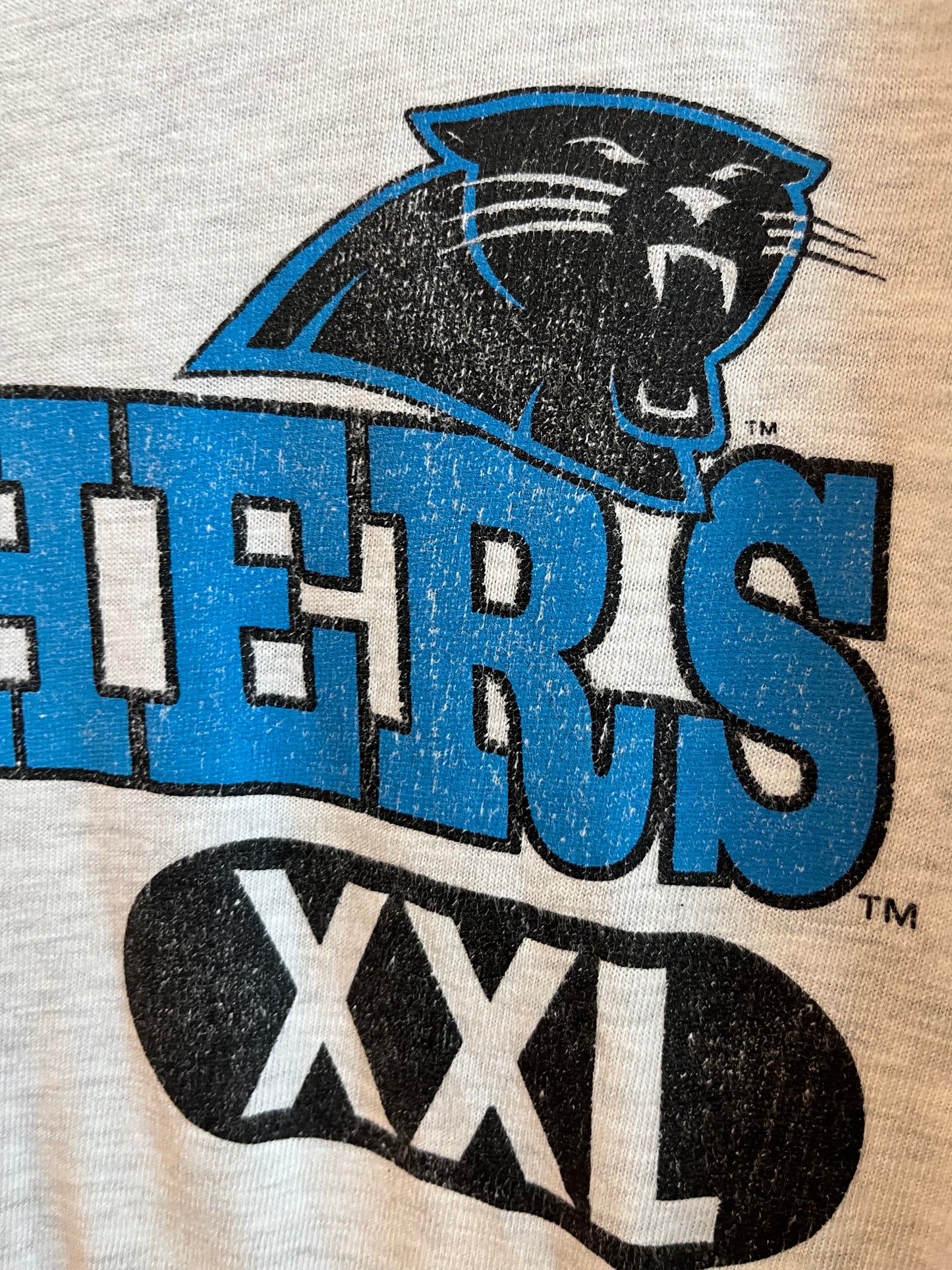 1993 Carolina Panthers XXL Champion Boxy Grey Tee (XL)