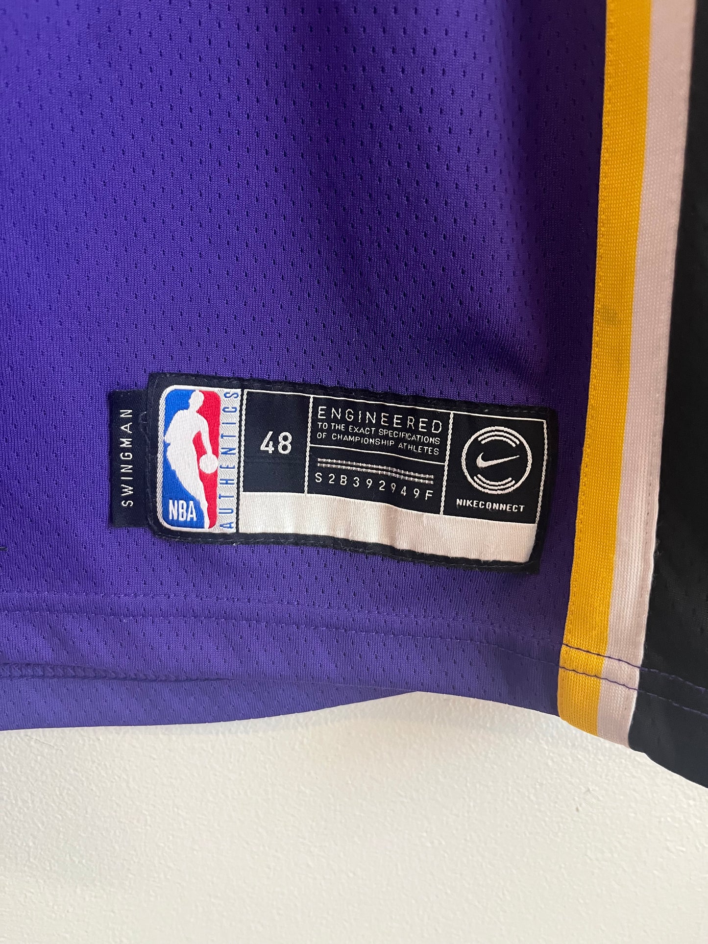 2019 Lebron James LA Lakers Nike NBA Jersey (L)