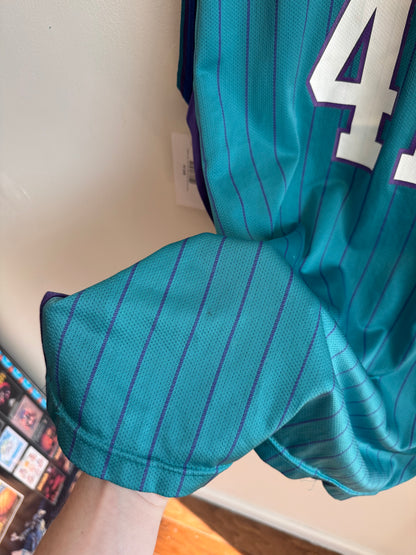 90s Charlotte Hornets Glen Rice Pinstripe NBA Champion Jersey (XL)