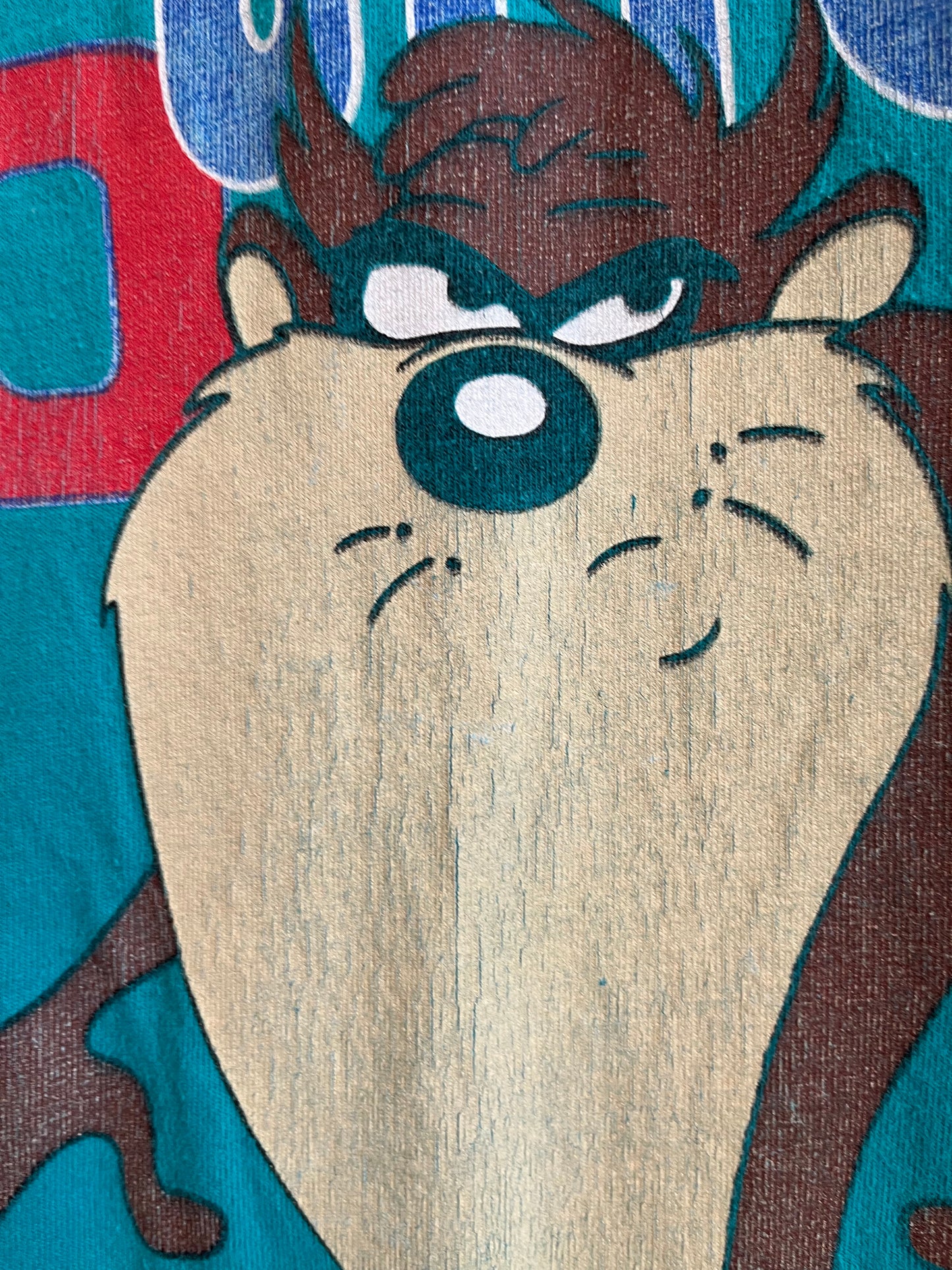 1998 Taz "Don't Even Go There!" Looney Tunes Faded Teal Tee (L)