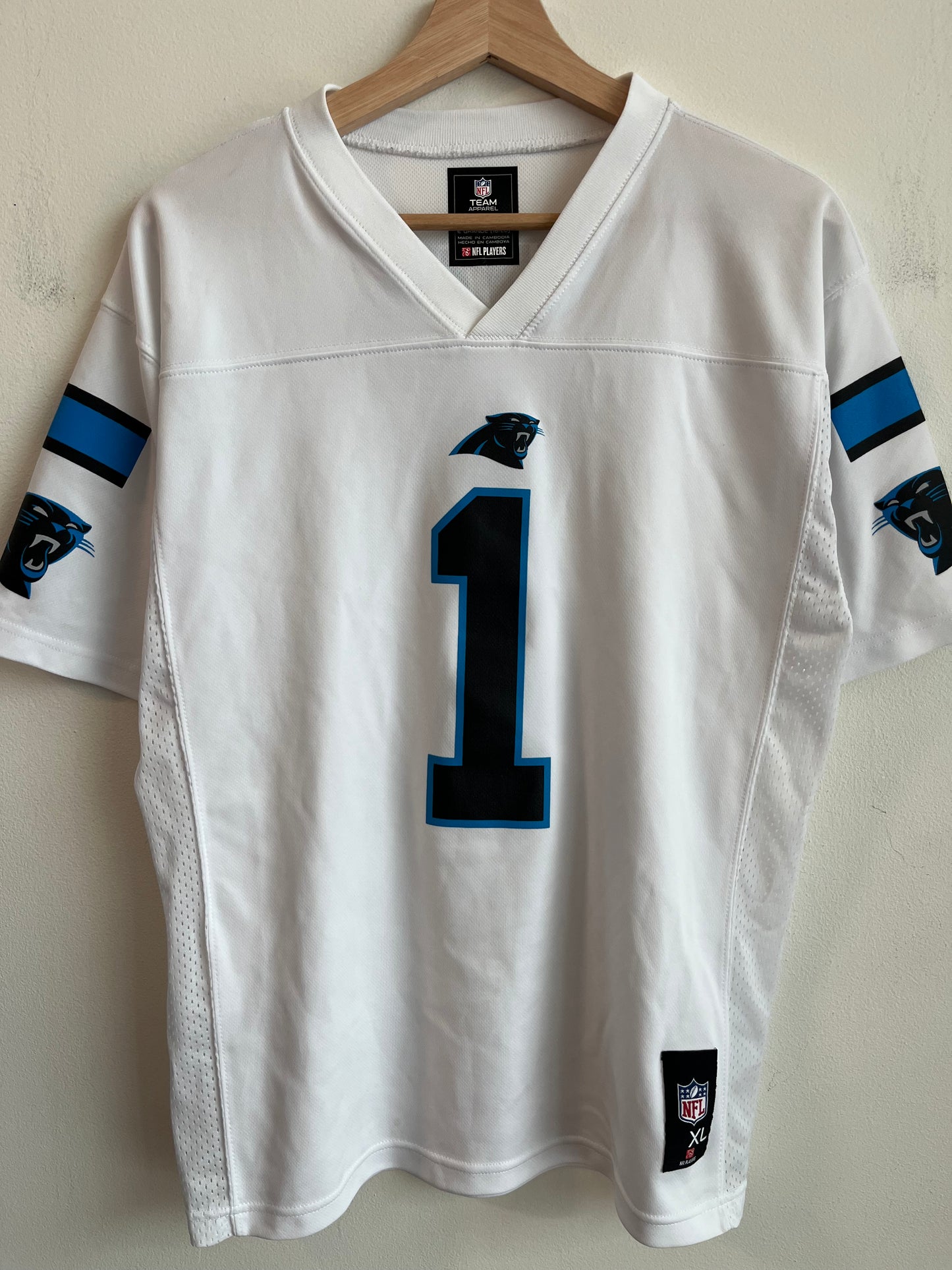 2010s Carolina Panthers Cam Newton NFL Players Away Jersey (Youth XL)