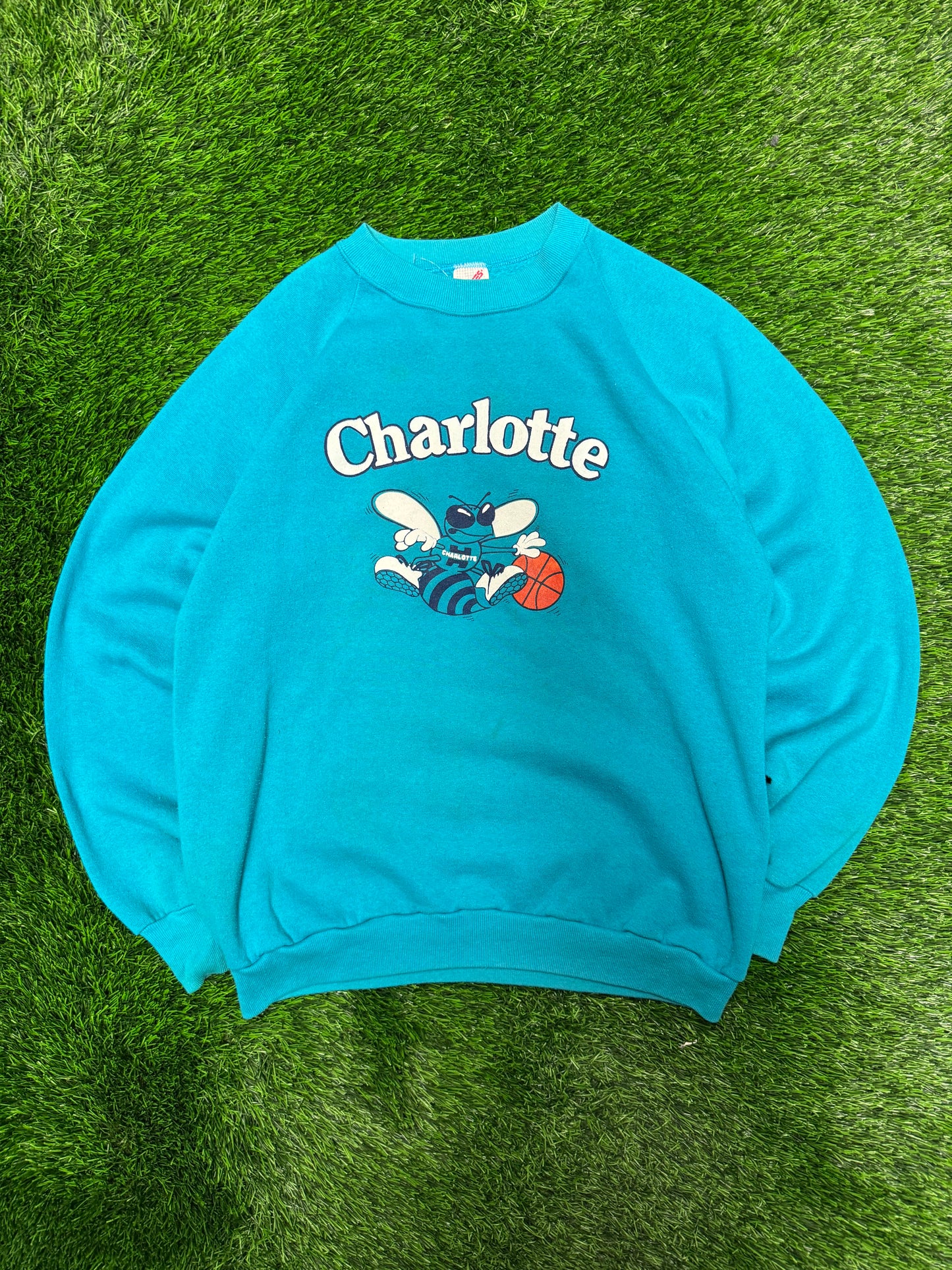 90s Charlotte Hornets Vintage Mascot Logo NBA Crewneck (L)