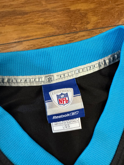 00s Carolina Panthers Jake Delhomme Jersey (L)